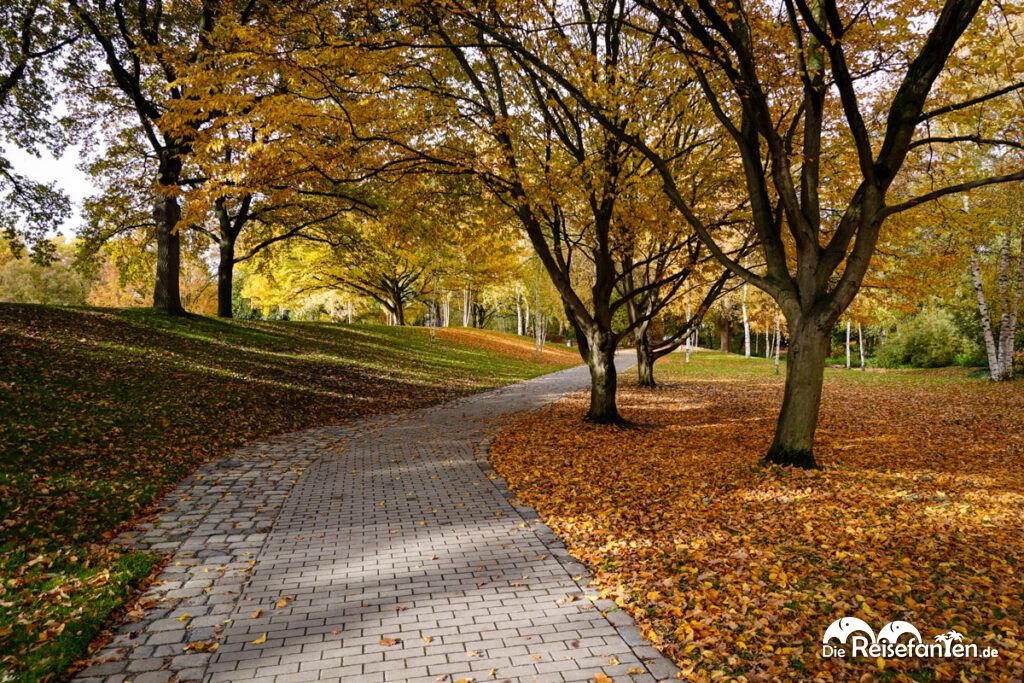 Luisenpark Mannheim im Herbst (8)