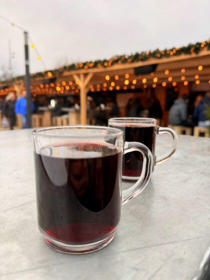 MS Artania Amsterdam (15)