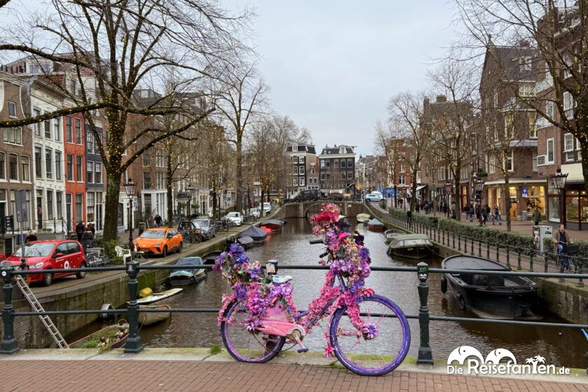 MS Artania Amsterdam (18)