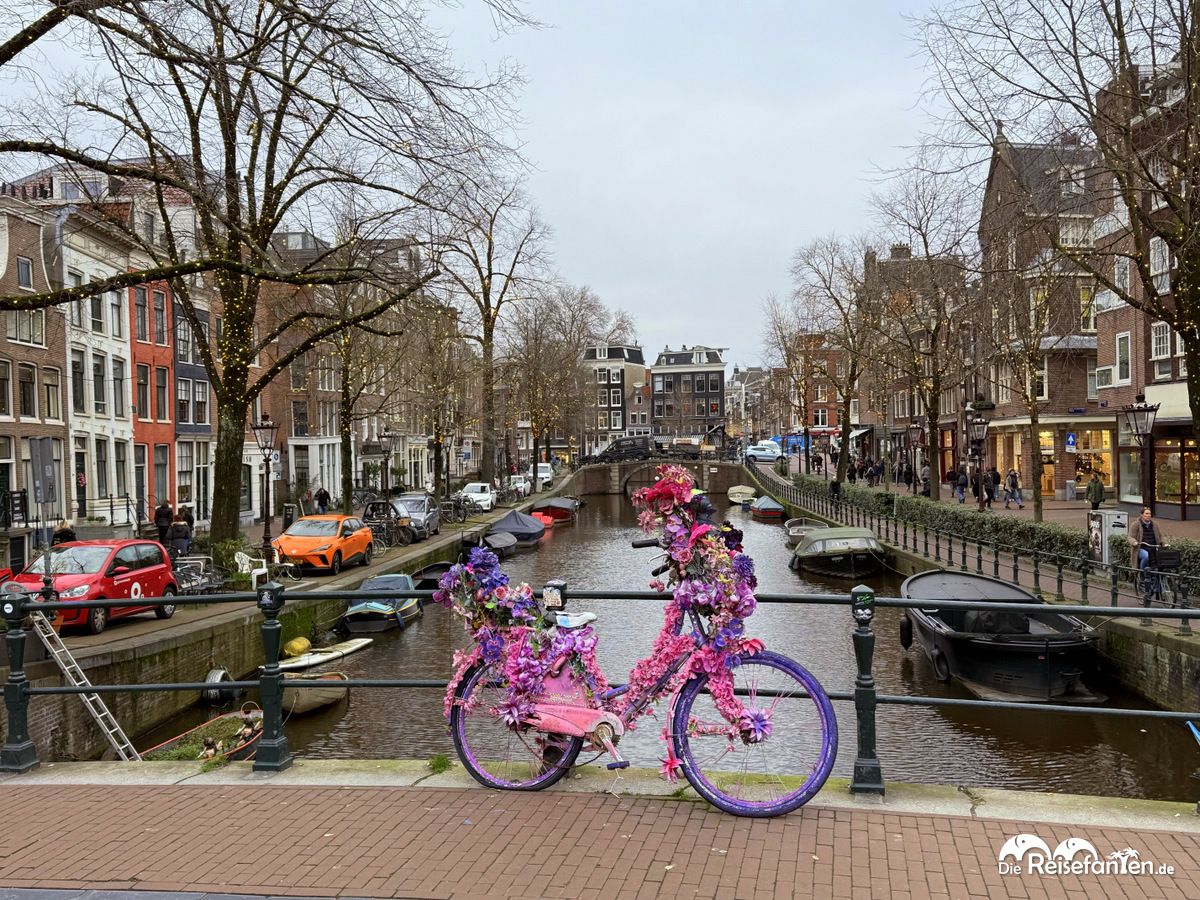 MS Artania Amsterdam (18)