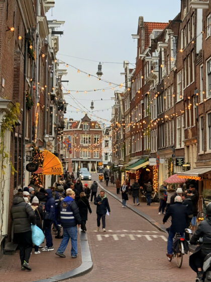 MS Artania Amsterdam (19)