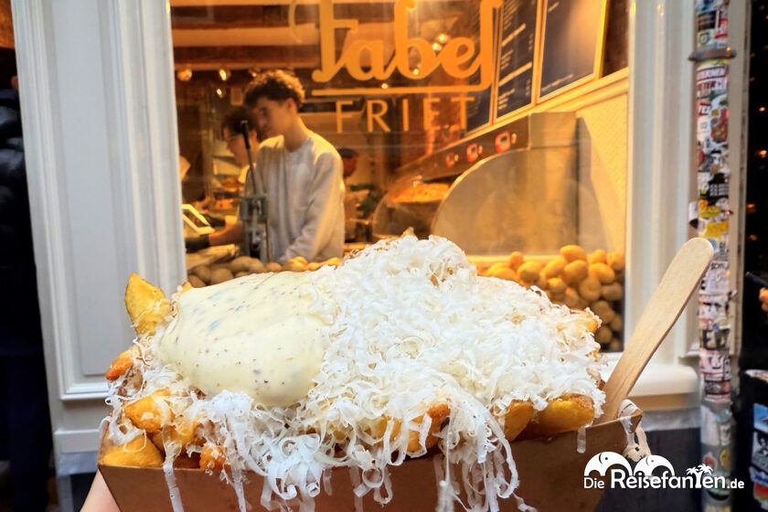 MS Artania Amsterdam (20)