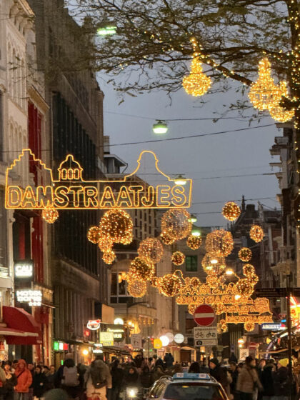 MS Artania Amsterdam (23)