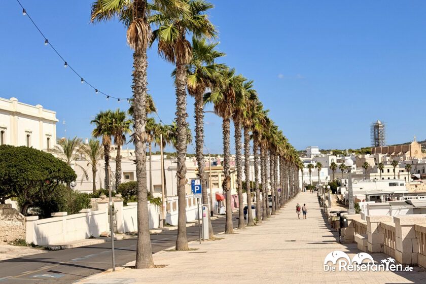 Santa Maria di Leuca (15)