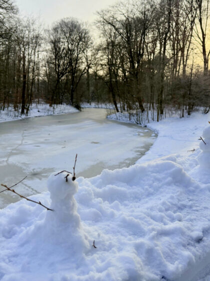Bürgerpark Bremen (10)