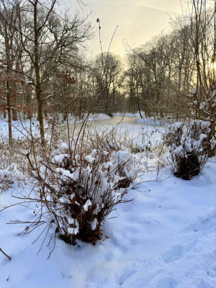 Bürgerpark Bremen (11)