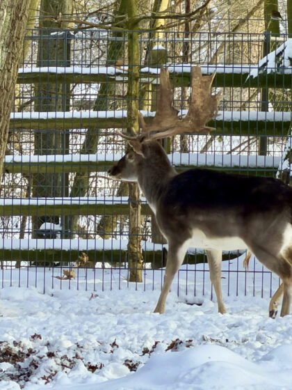 Bürgerpark Bremen (2)