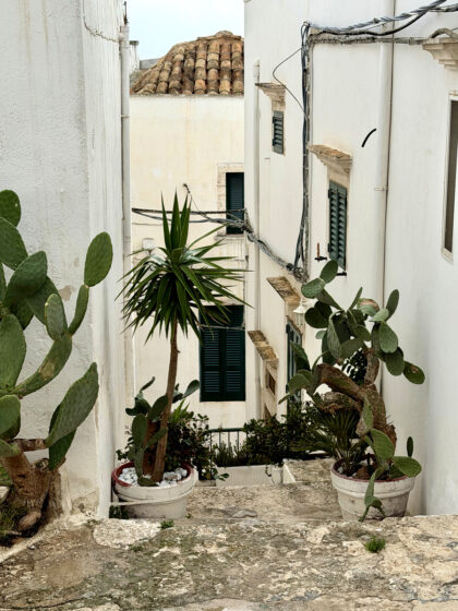 Ostuni (2)