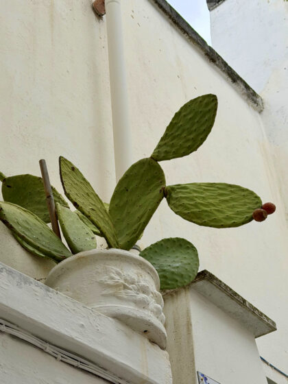 Ostuni (20)