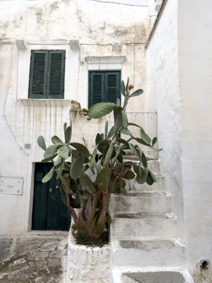 Ostuni (5)
