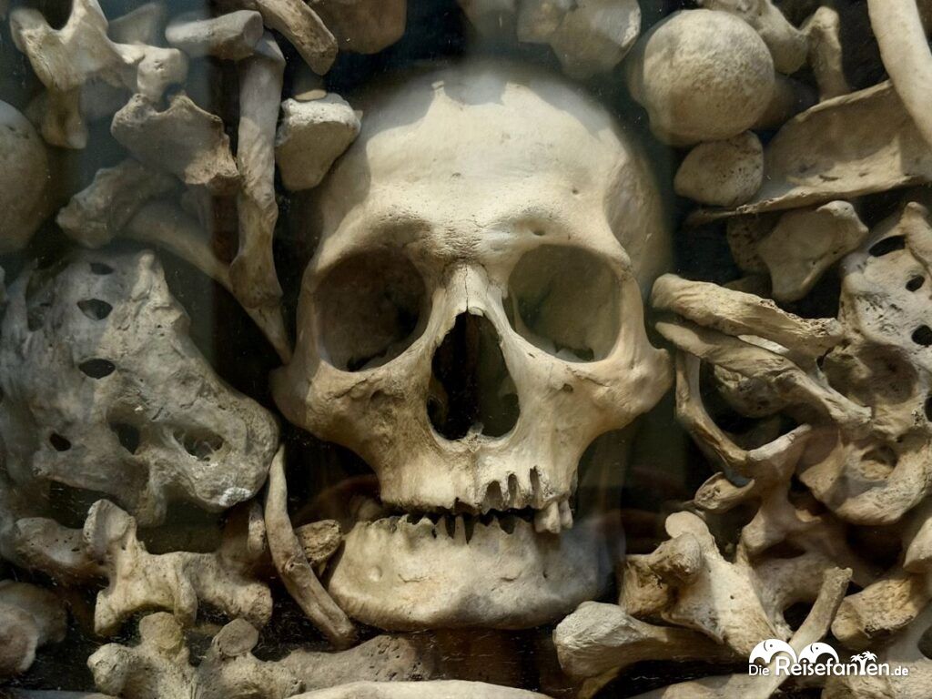 Santa Annunziata in Otranto (17)