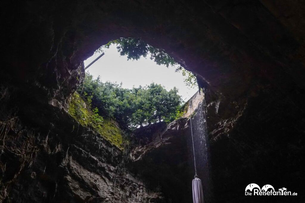 2025 10 03_15 58 20_IMG_1263_1201