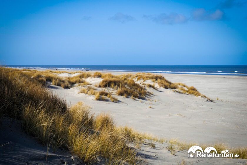 Juist im Winter (11)