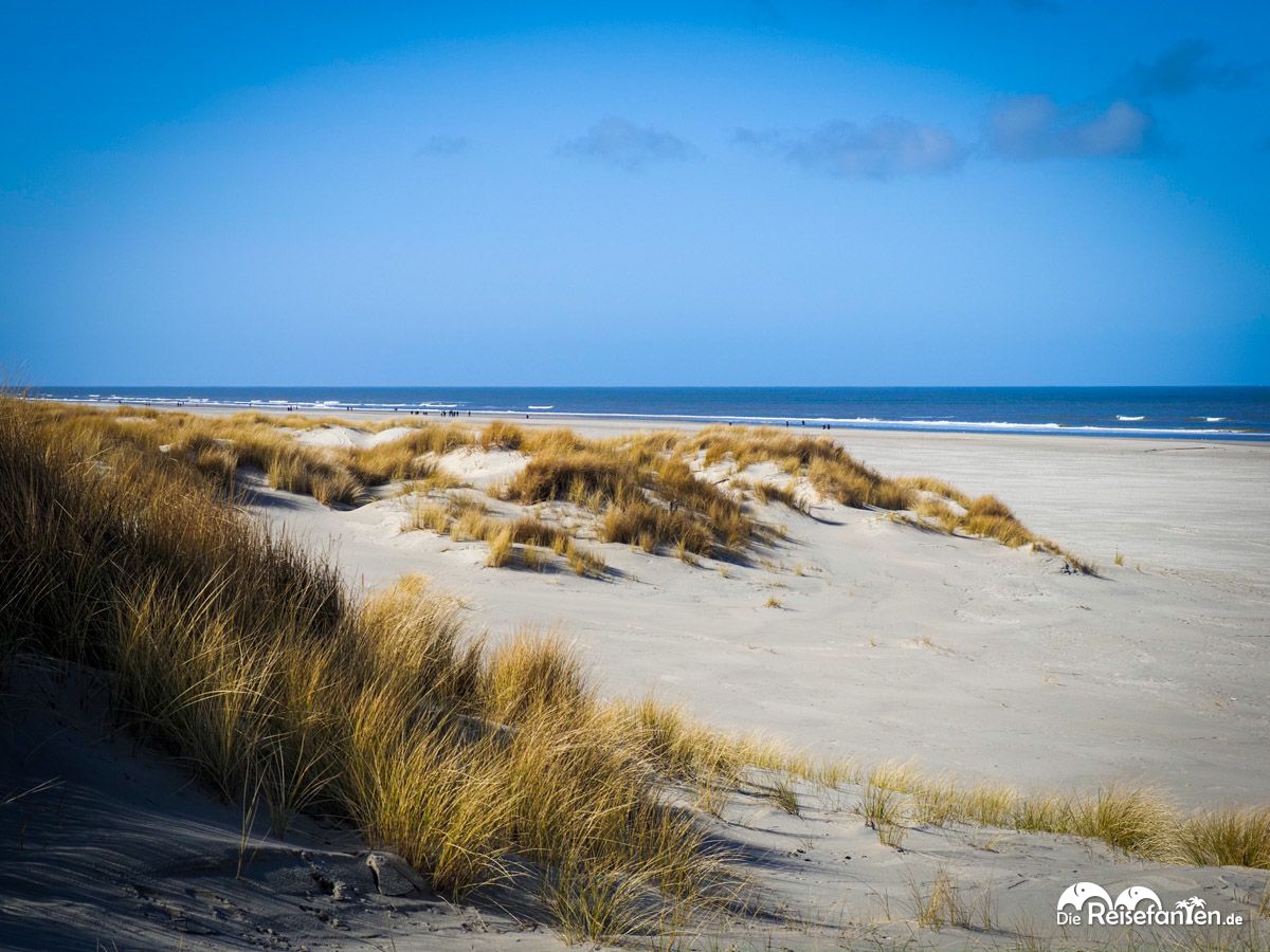 Juist im Winter (11)