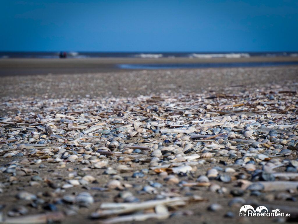 Juist im Winter (13)