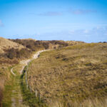 Juist im Winter (14)