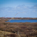 Juist im Winter (15)