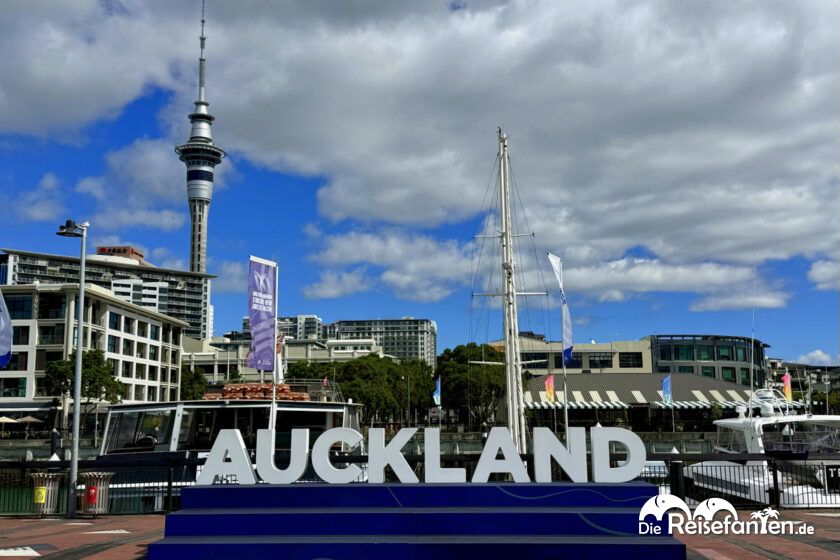Auckland (14)