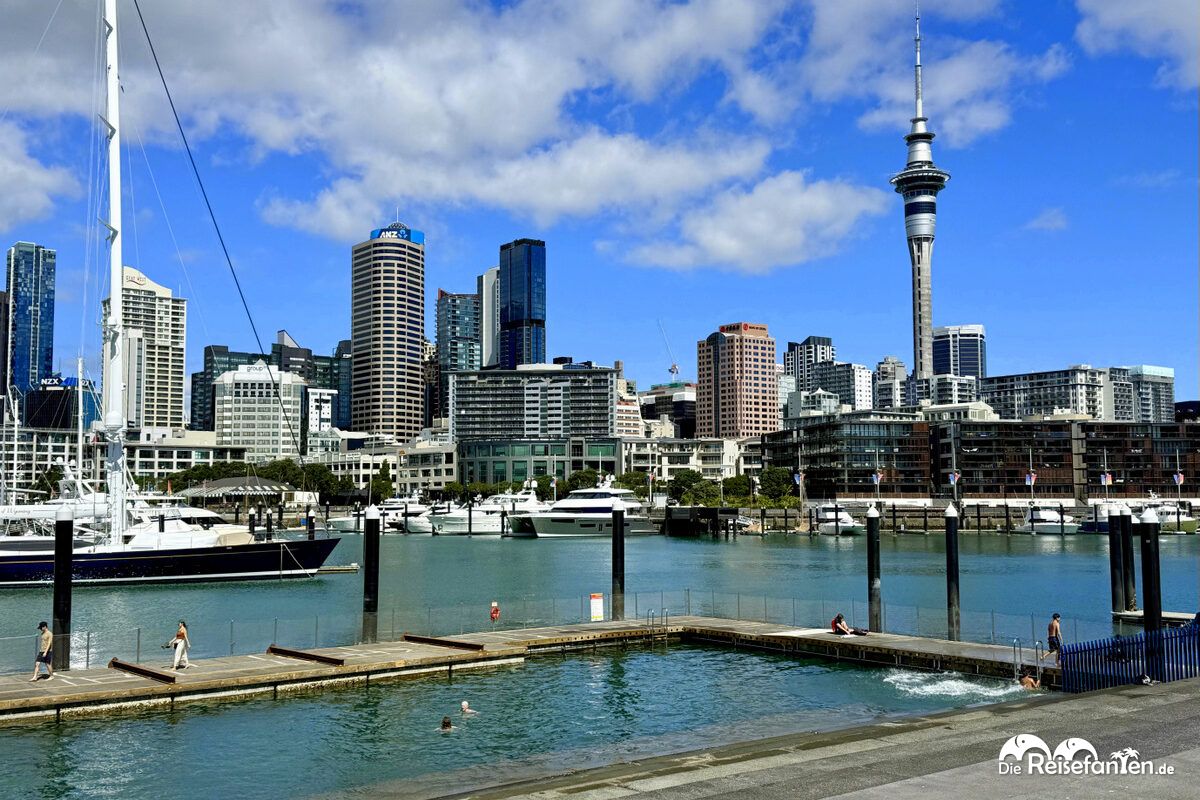 Auckland (16)