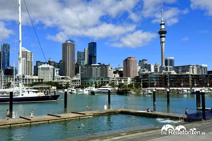 Auckland (16)