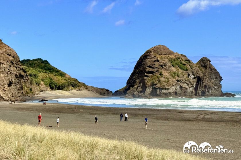 Von Auckland nach Piha (1)