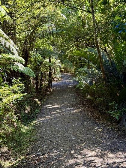 Von Auckland nach Piha (10)