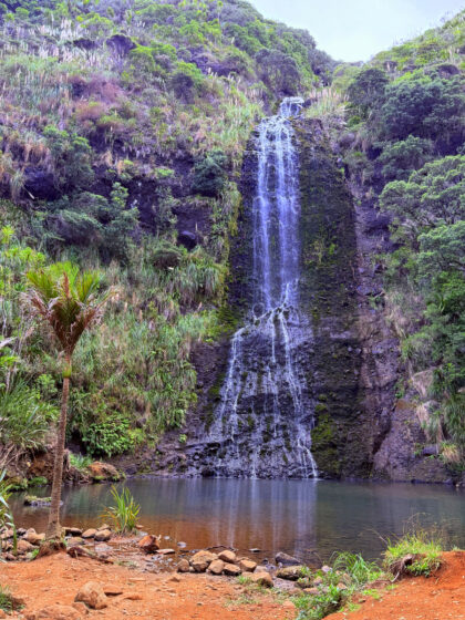 Von Auckland nach Piha (12)