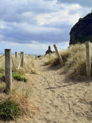 Von Auckland nach Piha (14)