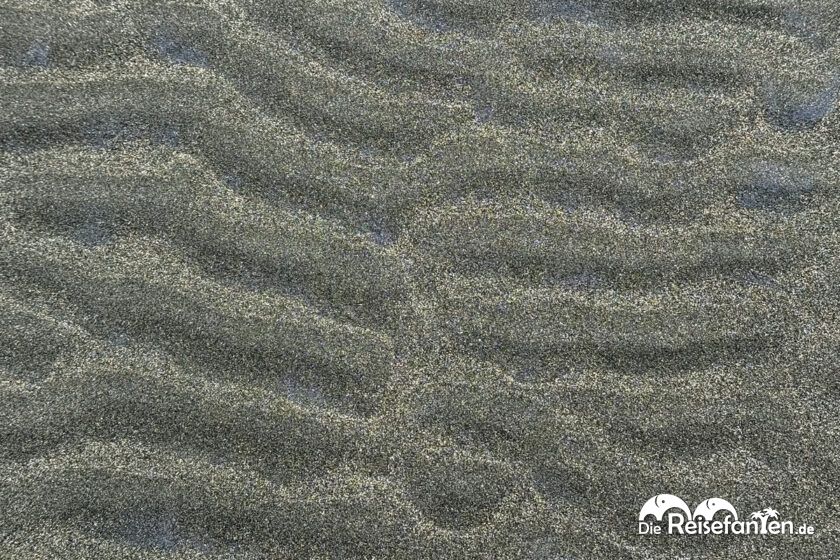Von Auckland nach Piha (2)