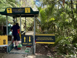 Von Auckland nach Piha (3)