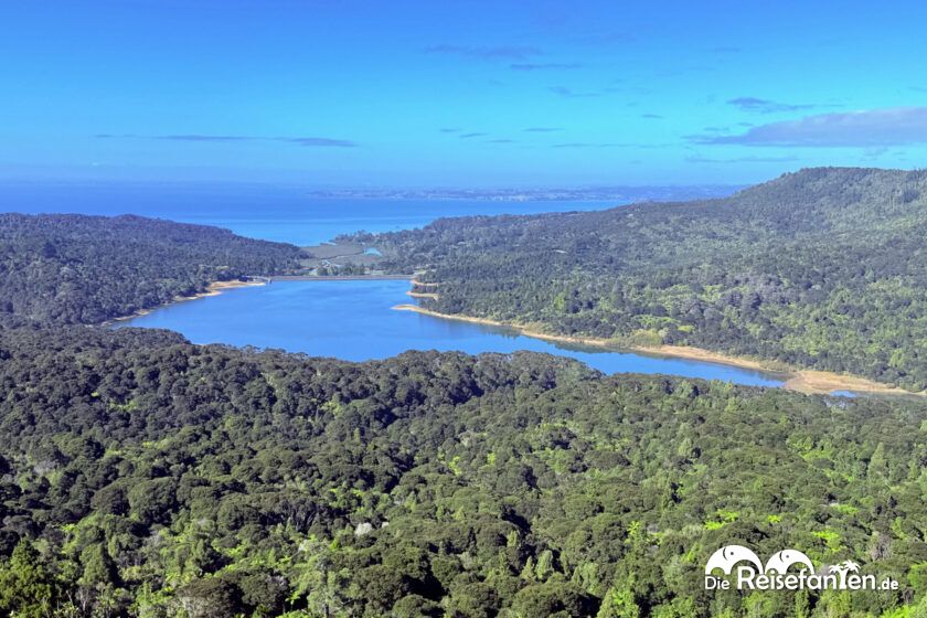 Von Auckland nach Piha (8)