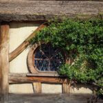 ein vorgeschmack auf hobbiton ein abstecher nach matamata ein vorgeschmack auf h 1