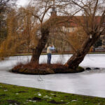 ein wintertag in celle ein wintertag in celle 3