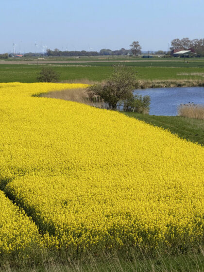 Büsum Impressionen (8)