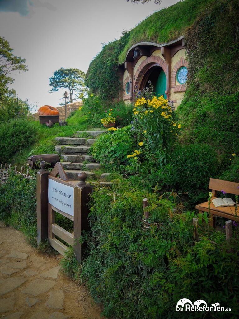 Ein Abend im Auenland Unser Besuch in Hobbiton (16)