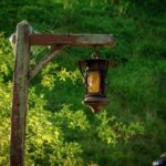 Ein Abend im Auenland Unser Besuch in Hobbiton (18)