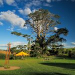 Ein Abend im Auenland Unser Besuch in Hobbiton (21)