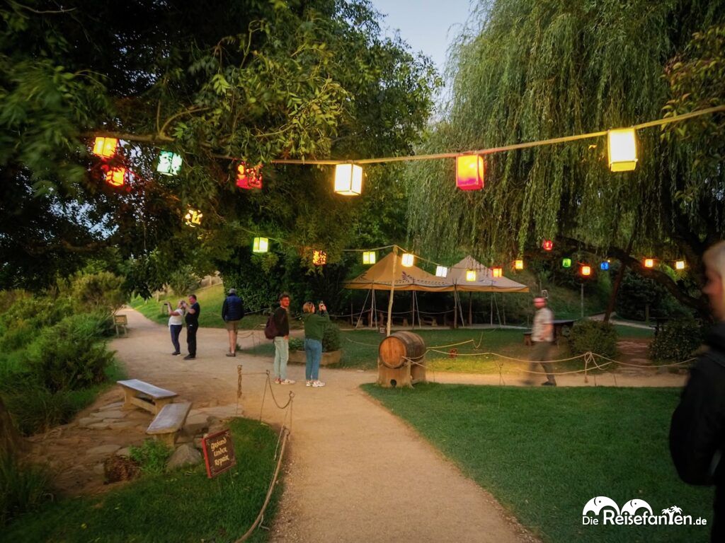 Ein Abend im Auenland Unser Besuch in Hobbiton (40)