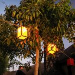 Ein Abend im Auenland Unser Besuch in Hobbiton (41)