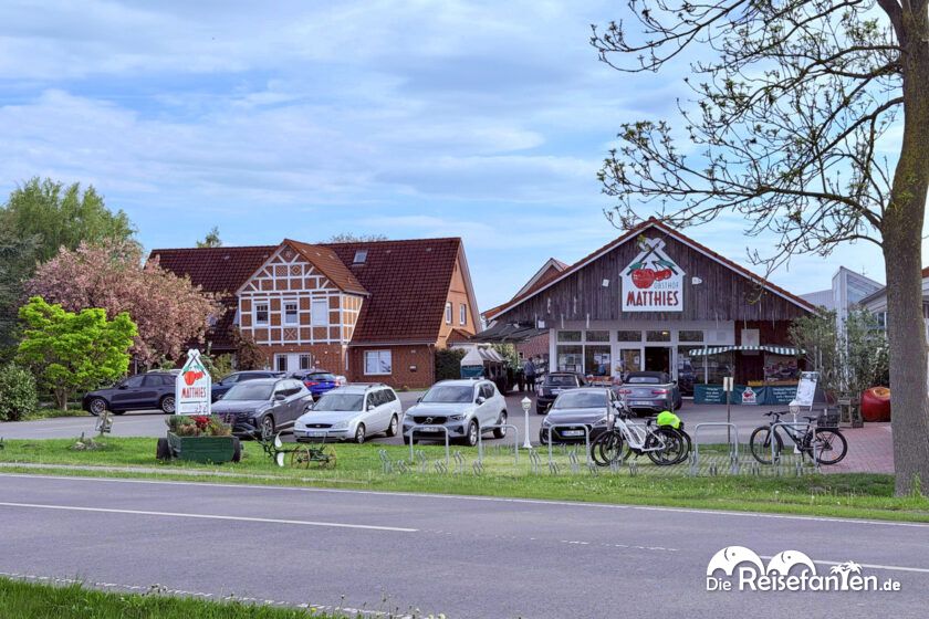 Im Alten Land (4)