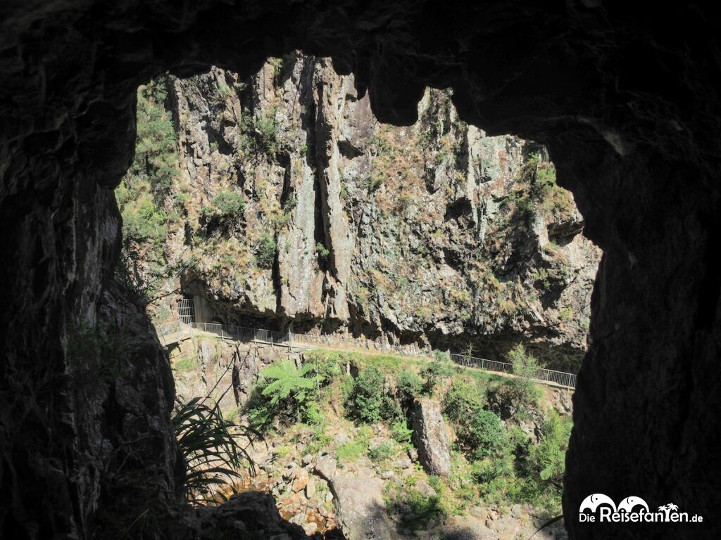Karangahake Gorge (9)