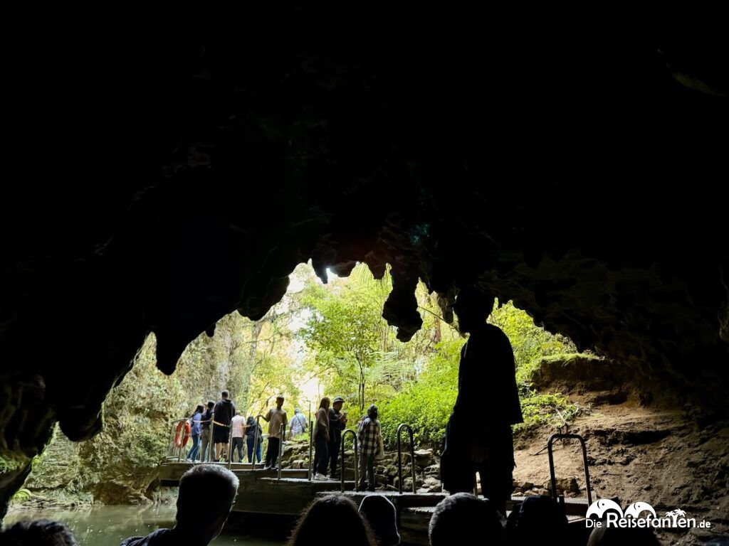 Waitomo Caves in Neuseeland (17)