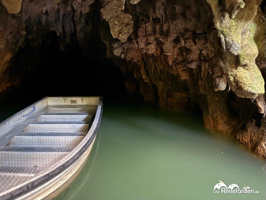 Waitomo Caves in Neuseeland (18)