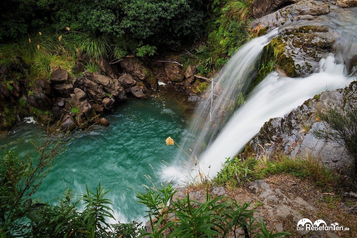 Am Pool von Gollum (1)