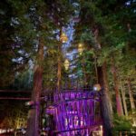 Redwoods Treewalk Rotorua (12)