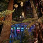Redwoods Treewalk Rotorua (13)