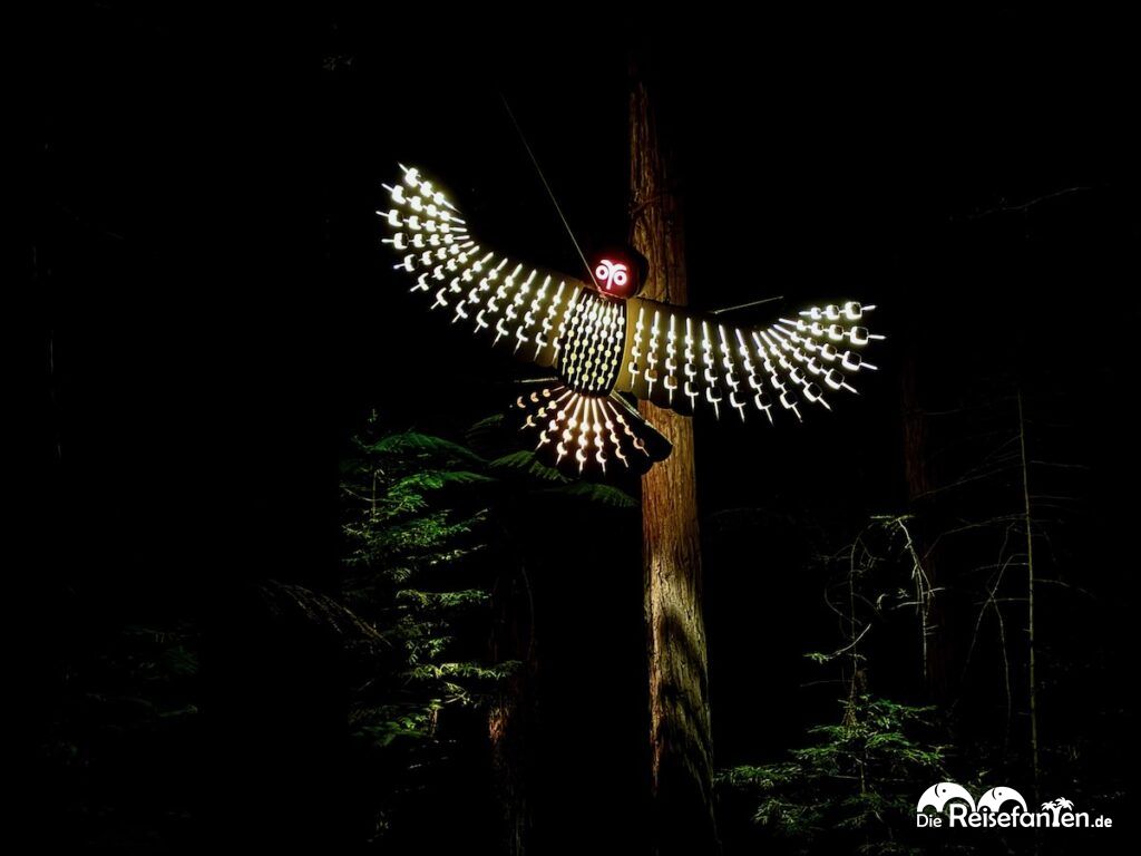 Redwoods Treewalk Rotorua (17)