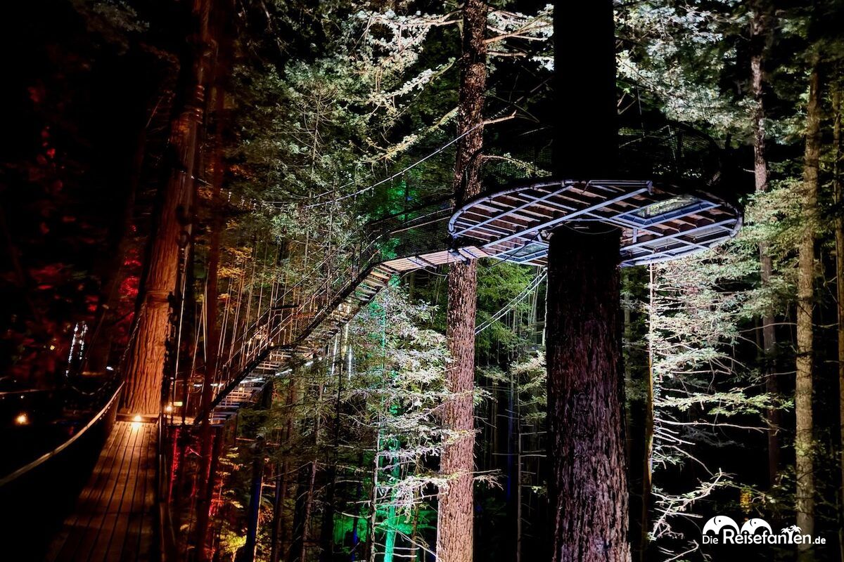 Redwoods Treewalk Rotorua (19)