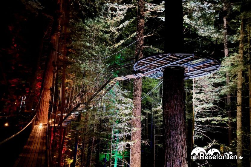 Redwoods Treewalk Rotorua (19)