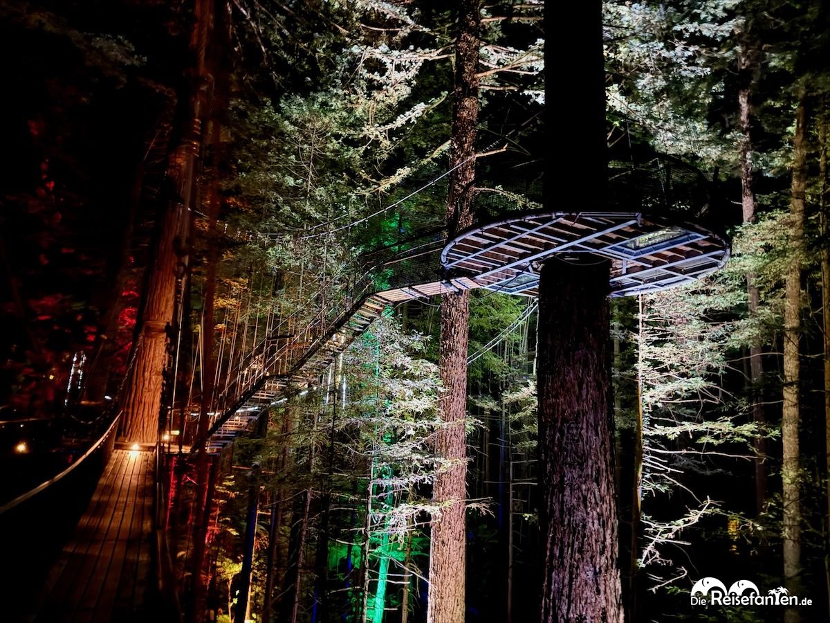 Redwoods Treewalk Rotorua (19)
